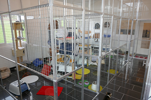 Diverse Boxen auf mehreren Etagen aus Alu, Stahl und Glas