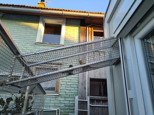 
Warning: Undefined array key 